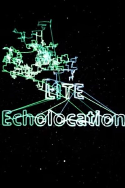 Echolocation