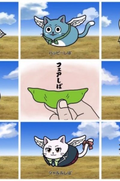 Fairy Tail x Mameshiba