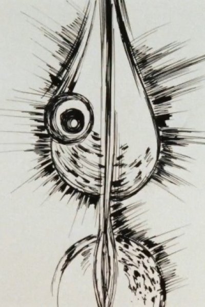 Gavora