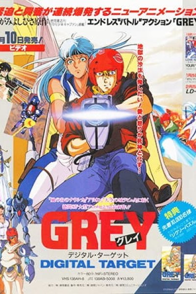 Grey: Digital Target