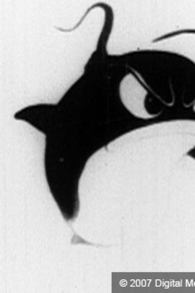 Kaitei no Boukun