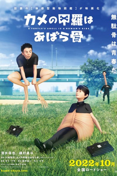 Kame no Koura wa Abarabone