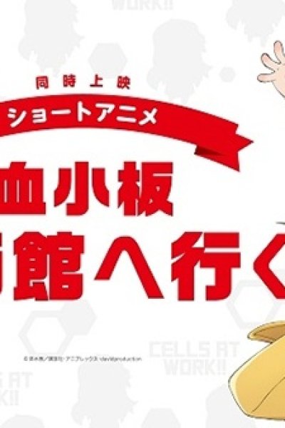 Kesshouban: Eigakan e Iku