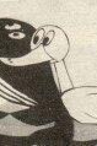 Ki no Ii Ahiru