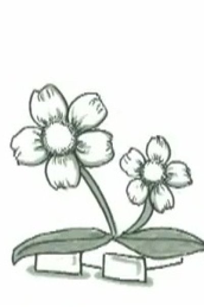 Kizuna (Special)
