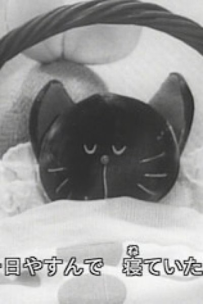 Koneko no Byouki