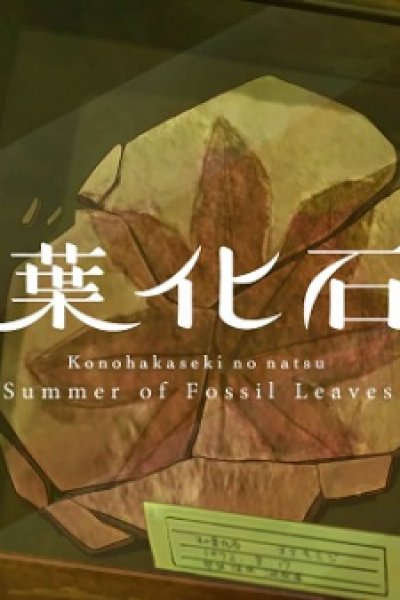 Konohakaseki no Natsu