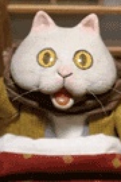 Kotatsu Neko