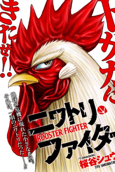 Baca Rooster Fighter Bahasa Indonesia
