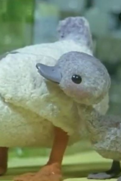 Minikui Ahiru no Ko