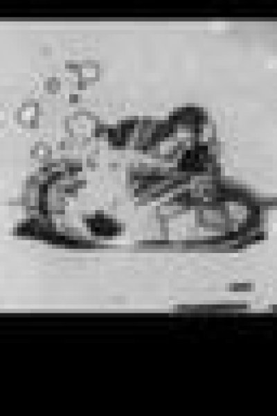 Osaru no Sankichi: Totsugeki-tai