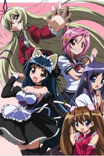 Penguin Musume♥Heart