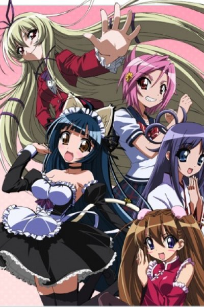 Penguin Musume♥Heart