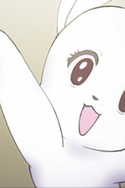 Prima Rabbit