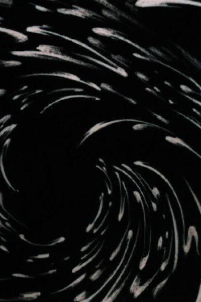 Spin