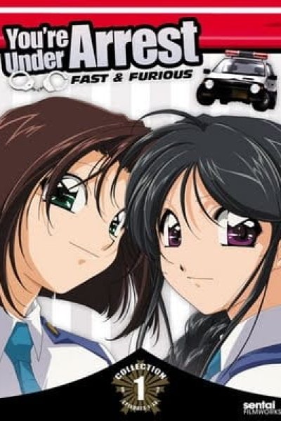 Taiho Shichau zo: Second Season