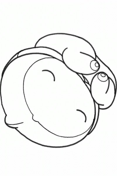 The Embryo Develops into a Fetus