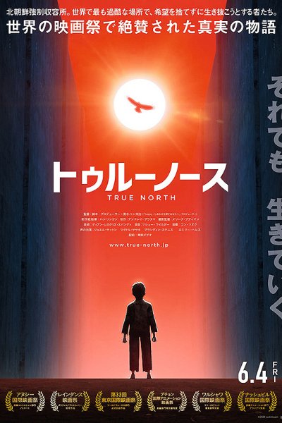 True North