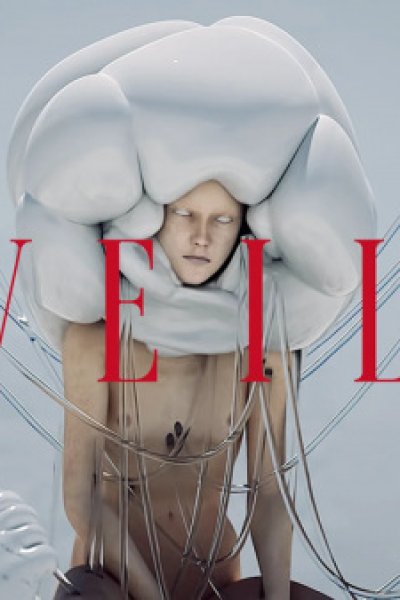 Veil