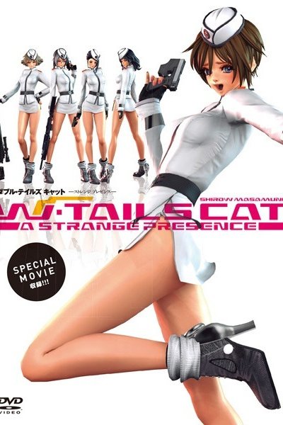 W-Tails Cat: A Strange Presence