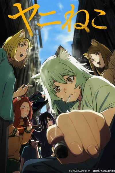Yani Neko