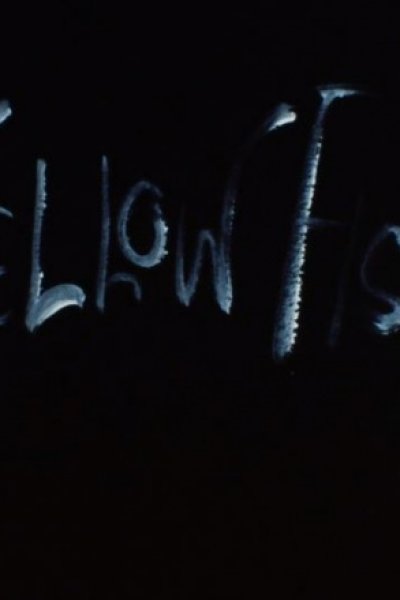 Yellow Fish
