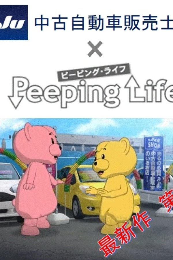 JU Chuuko Jidousha Hanbaishi x Peeping Life
