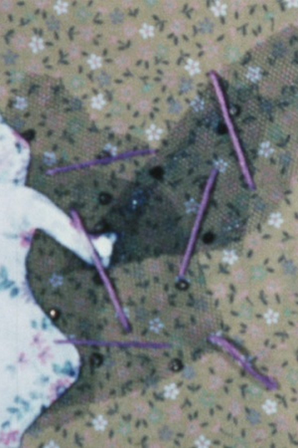 Tori-tachi no Sumu Tokoro