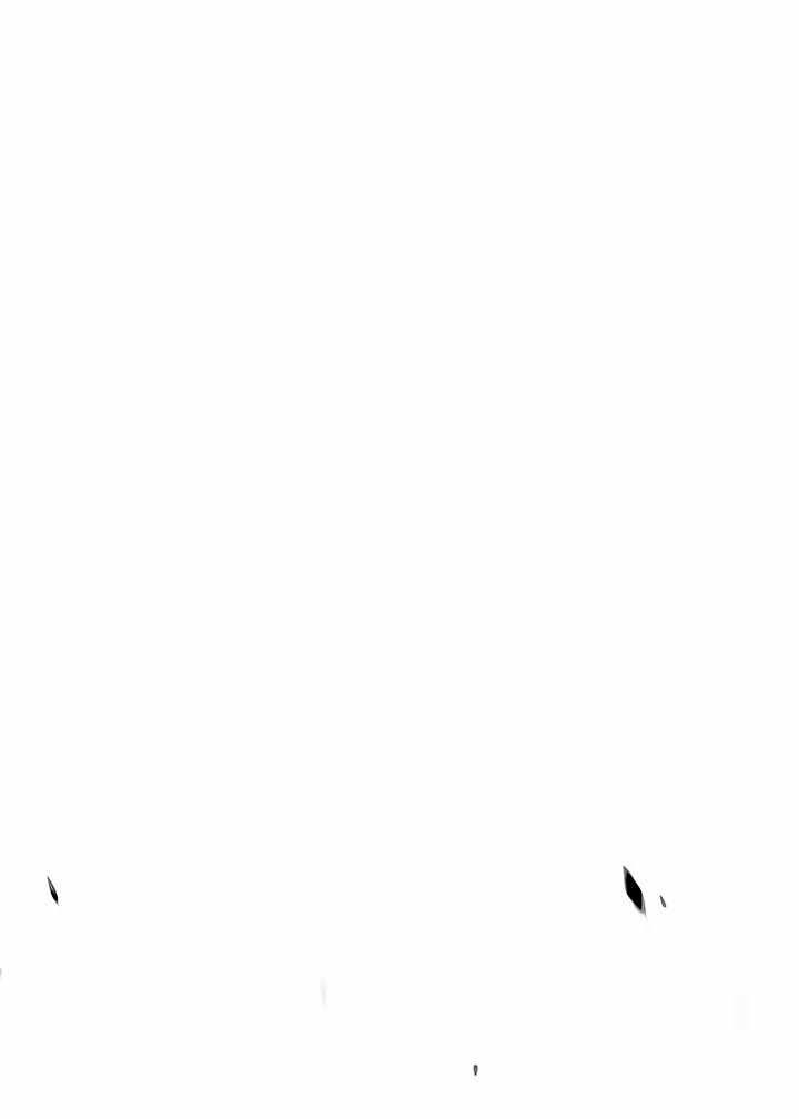 +99 Wooden Stick Chapter 19 - halaman 57