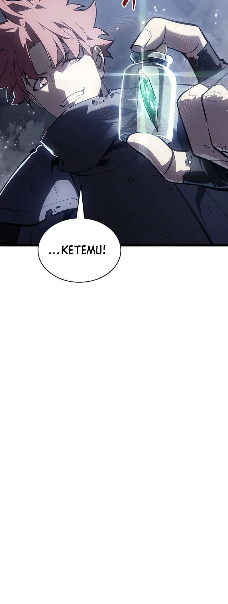 A Disaster-Class Hero Has Returned Chapter 185 - halaman 13