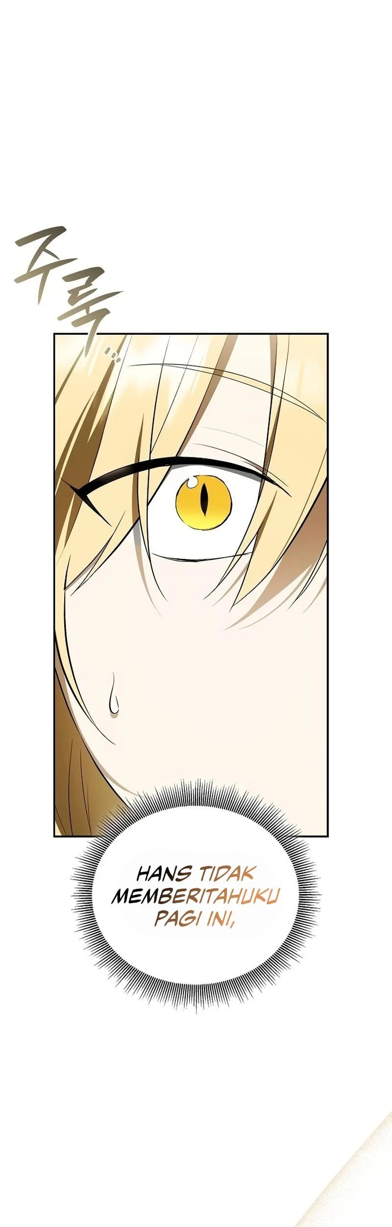 A Mercenary’s Rebirth Among Nobles Chapter 16 - halaman 10