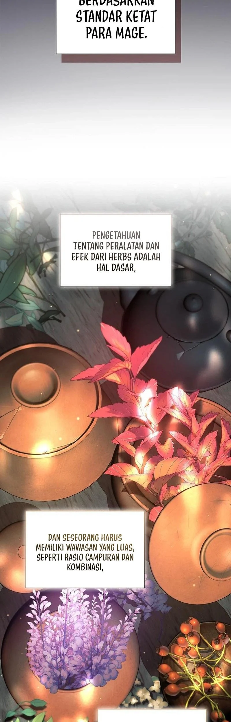 A Mercenary’s Rebirth Among Nobles Chapter 47 - halaman 11
