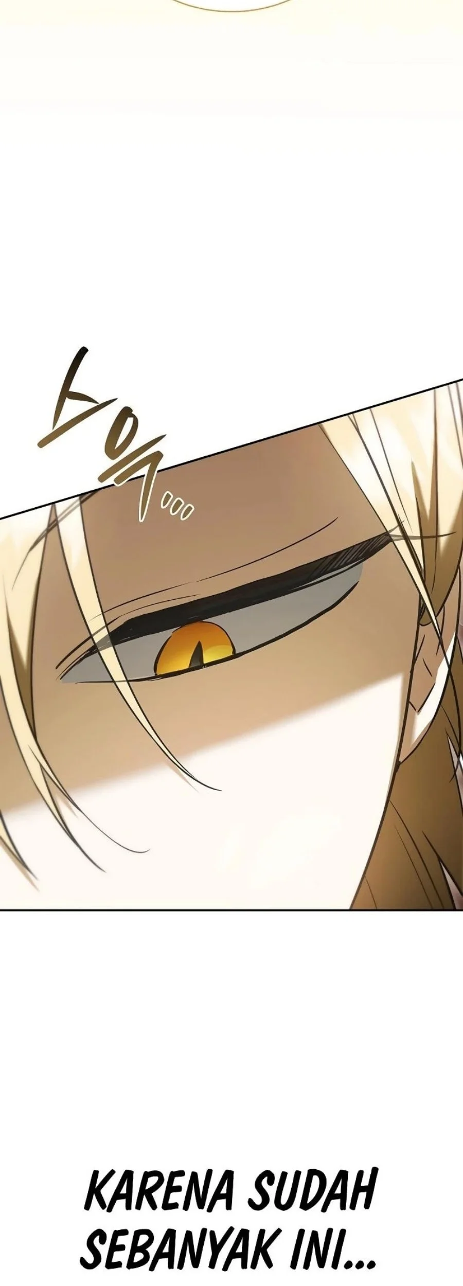 A Mercenary’s Rebirth Among Nobles Chapter 9 - halaman 25