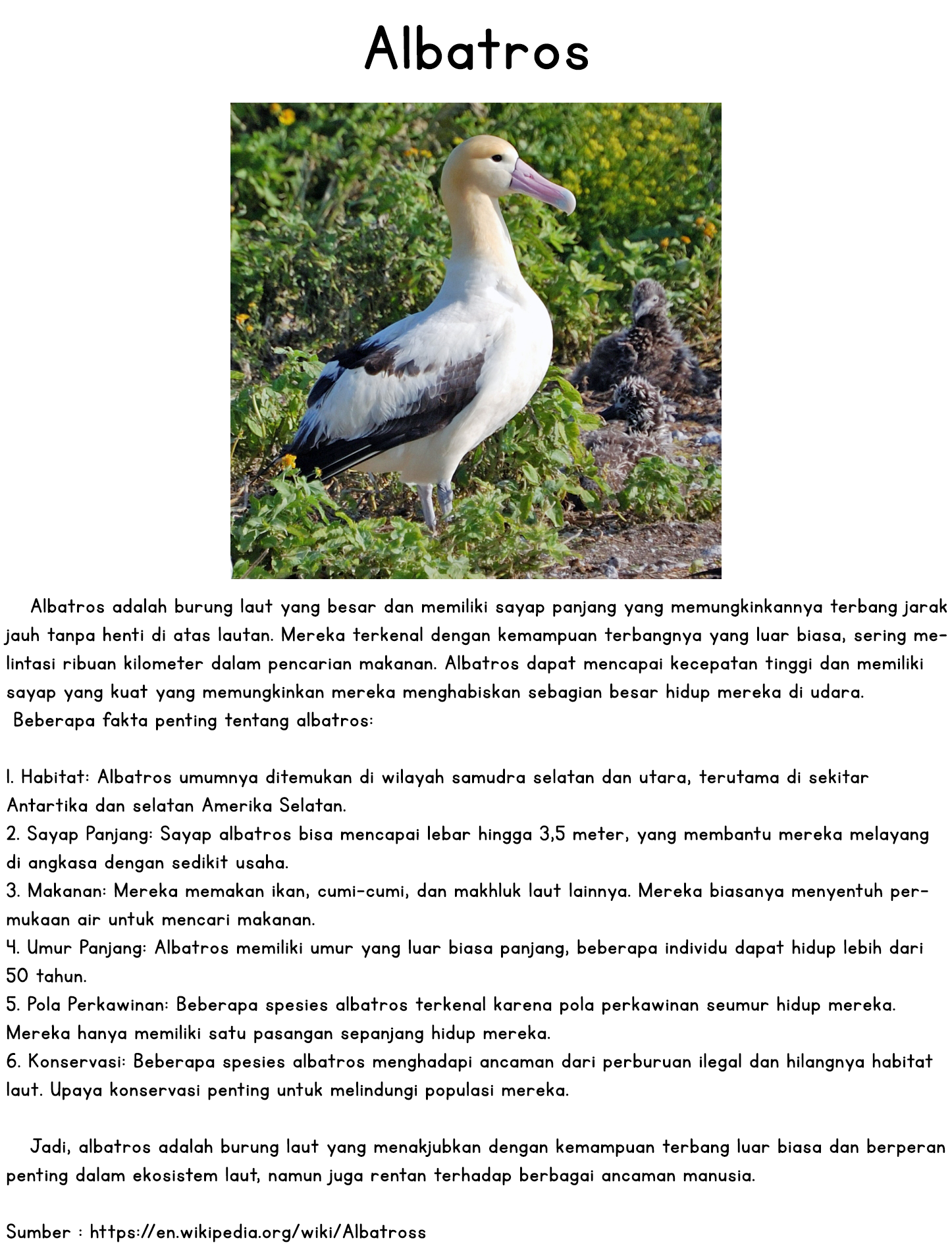 A Sea Turtle Flying in the Air Chapter 0 - halaman 5