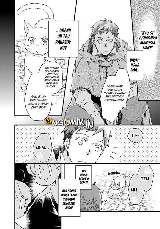 A Vengeful White Cat Lounges Around on the Dragon King’s Lap Chapter 10 - halaman 3