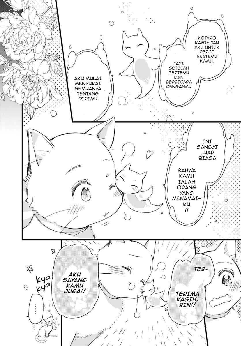 A Vengeful White Cat Lounges Around on the Dragon King’s Lap Chapter 15 - halaman 25