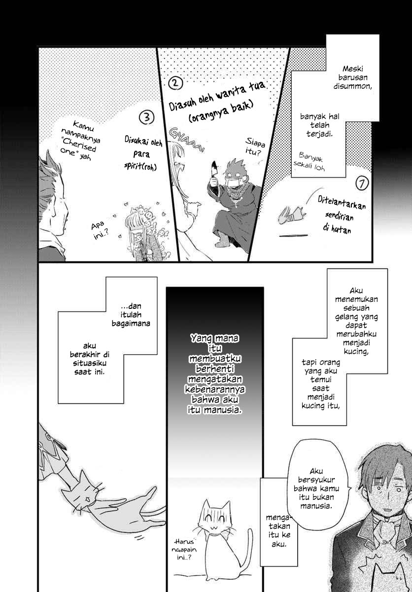 A Vengeful White Cat Lounges Around on the Dragon King’s Lap Chapter 17 - halaman 5