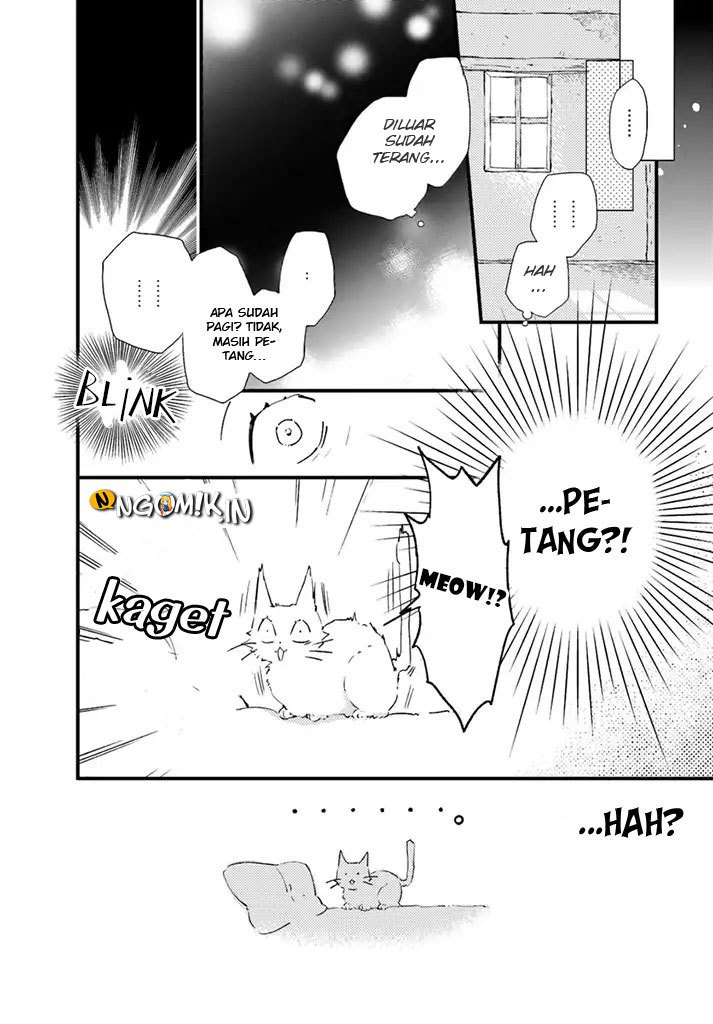 A Vengeful White Cat Lounges Around on the Dragon King’s Lap Chapter 5 - halaman 18