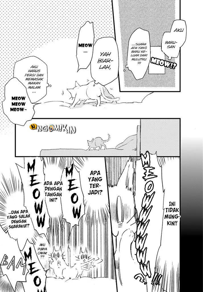 A Vengeful White Cat Lounges Around on the Dragon King’s Lap Chapter 5 - halaman 19