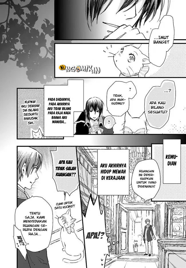 A Vengeful White Cat Lounges Around on the Dragon King’s Lap Chapter 8 - halaman 12