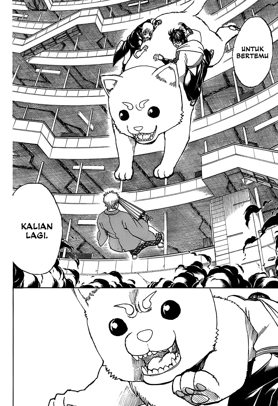 Adonis Chapter 249 - halaman 14