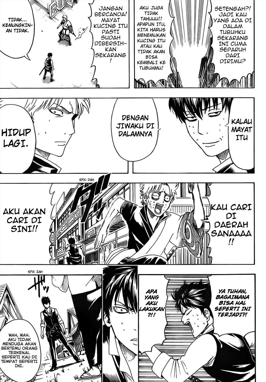 Adonis Chapter 43 - halaman 11