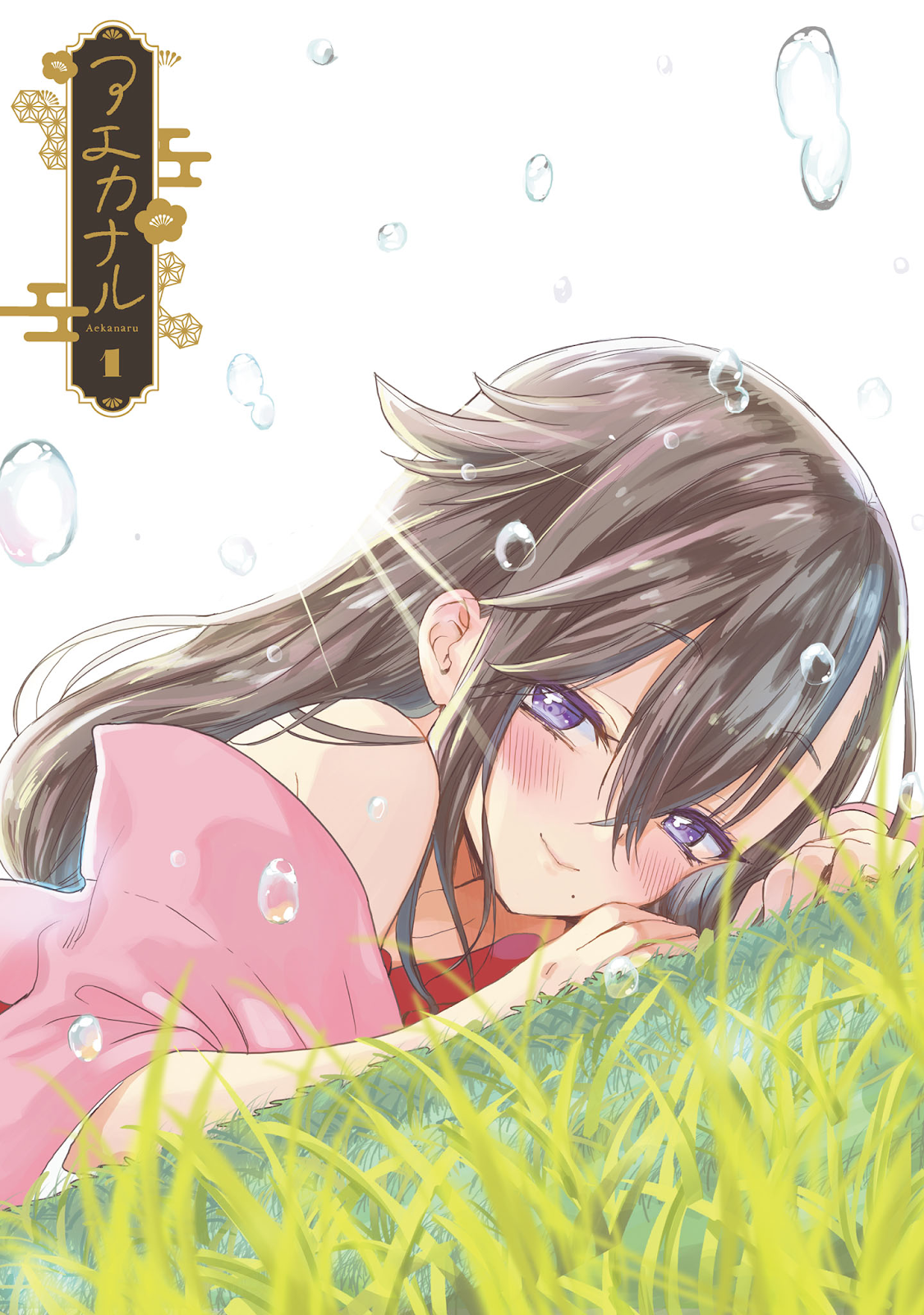 Aekanaru Chapter 1 - halaman 3