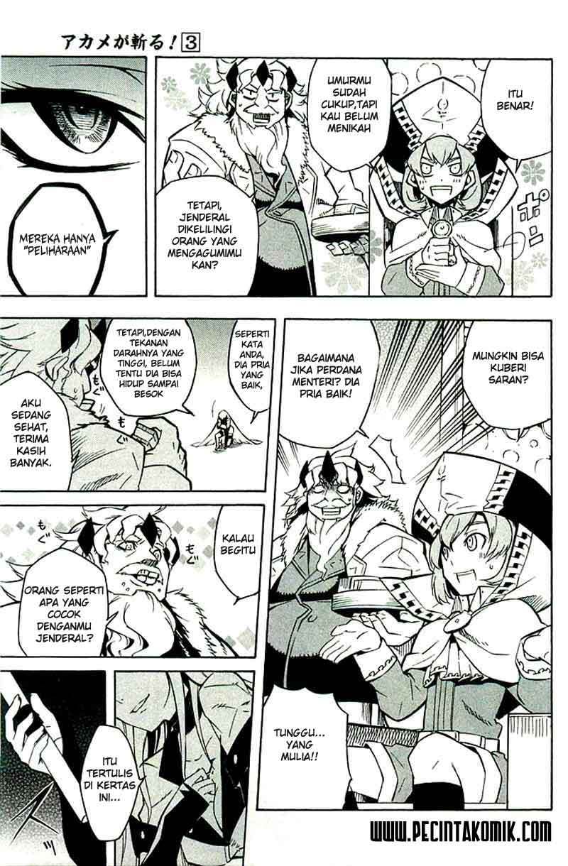 Akame ga Kill! Chapter 10 - halaman 26