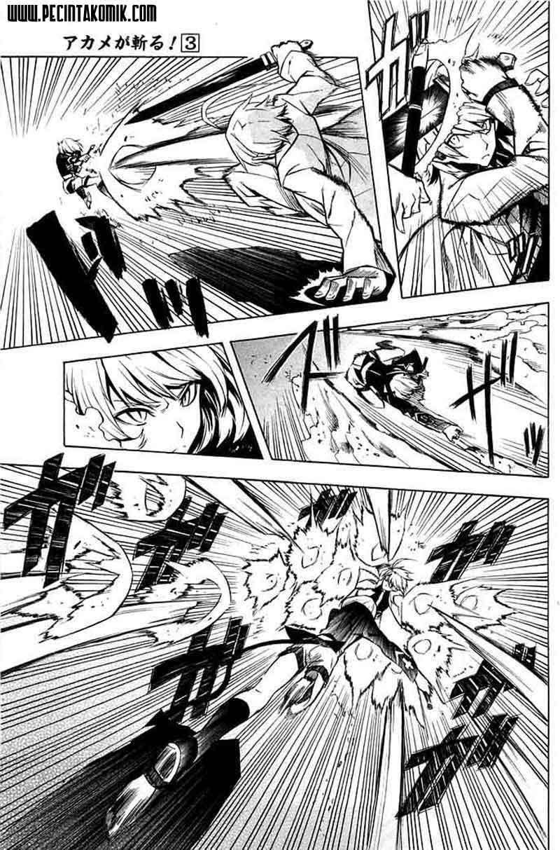 Akame ga Kill! Chapter 13 - halaman 12