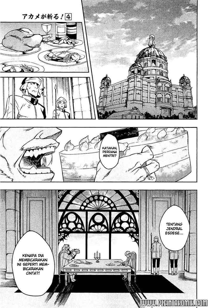 Akame ga Kill! Chapter 16 - halaman 25