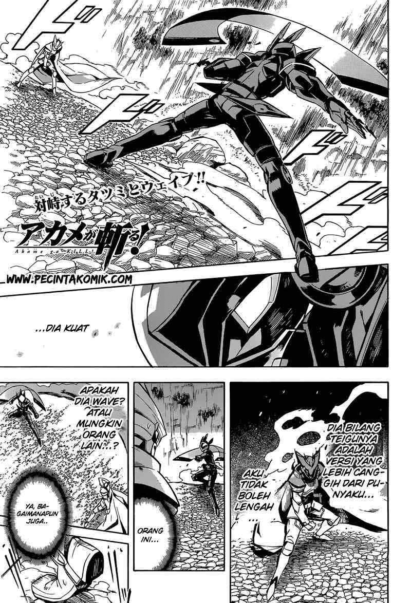 Akame ga Kill! Chapter 19 - halaman 2