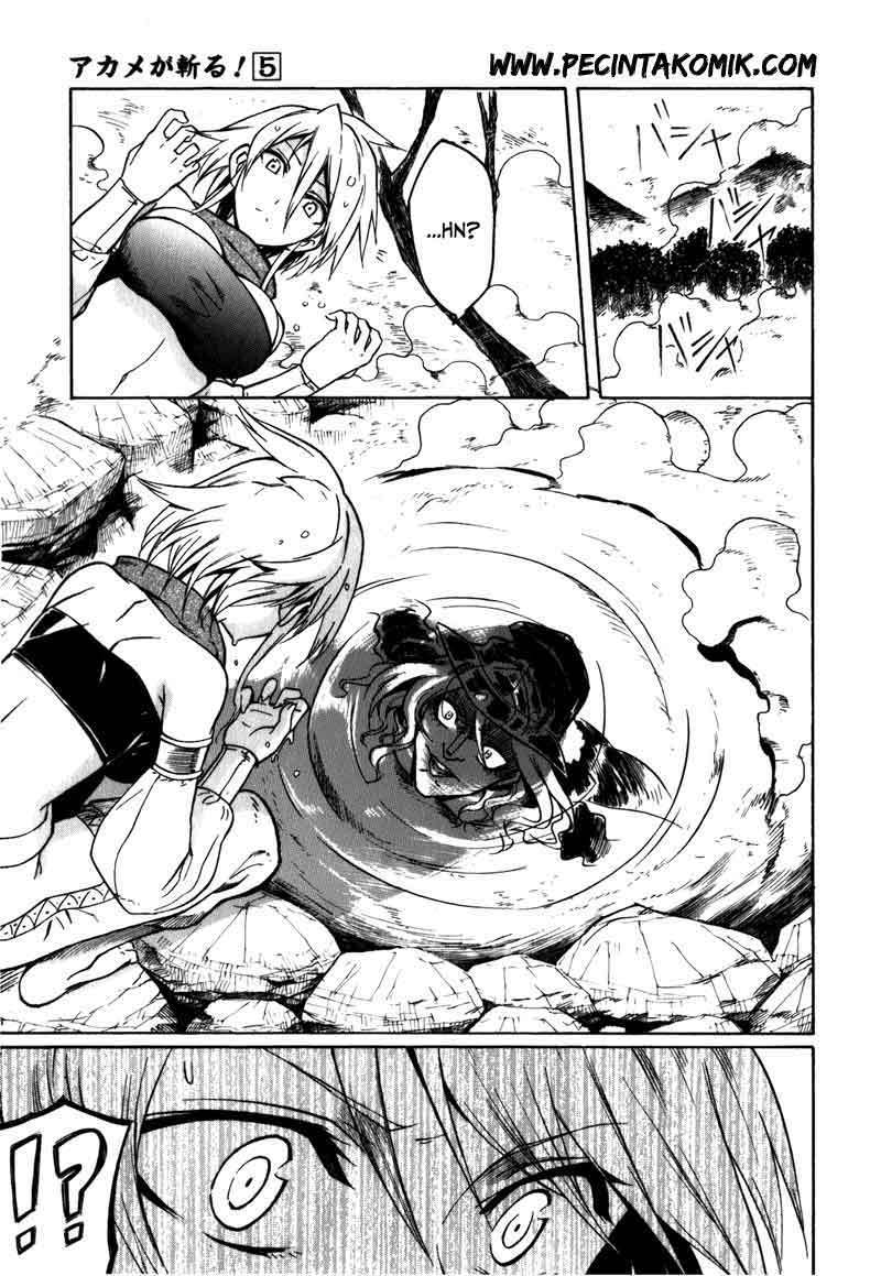 Akame ga Kill! Chapter 20 - halaman 14