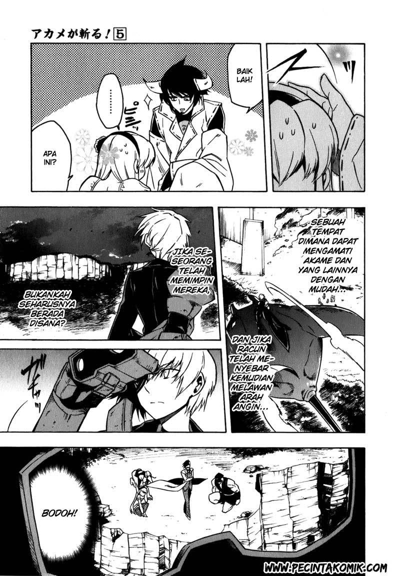Akame ga Kill! Chapter 21 - halaman 30