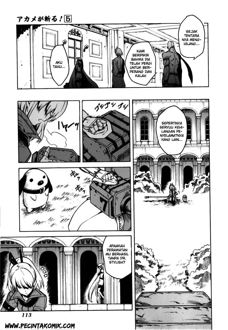 Akame ga Kill! Chapter 22 - halaman 14